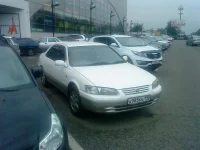 DSC00468.webp