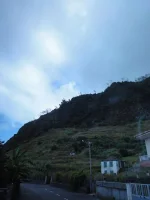 245.webp