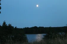 IMG_2926.webp