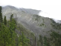 IMG_0275.webp