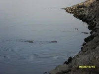 SDC10886.webp