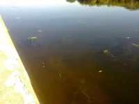 07092011202.webp
