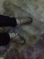 27122010778.webp