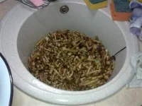 11092011209.webp