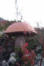 IMAG0138.webp