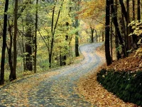 5dcf26572341.webp