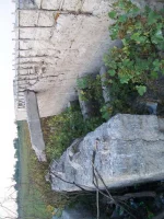 100_3375.webp