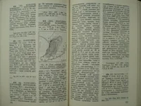172-173.webp