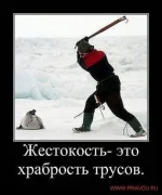 634469907_huge.webp