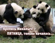 7710c4540ec0.webp