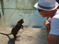 DSC03288.webp