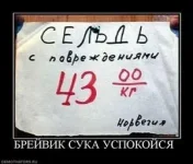 946927_brejvik-suka-uspokojsya-.thumbnail.webp