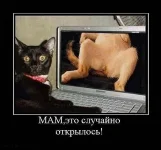aa31de257a7e773cc326dc89446899959e465bbd_1.webp