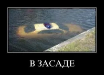 d9b80473a5acb300932dda4a8144410153b2ddc0_1.webp