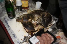 DSC00879.webp