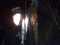 280920111663.webp