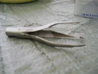 DSCN0982.webp