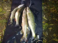 03102011087.webp