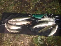 03102011085.webp