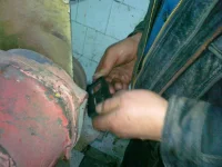 п 3.webp