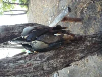 P1000410.webp