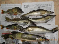 DSCN094811.webp