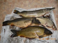 DSCN095711.webp
