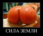 tmpyfFCb9.webp