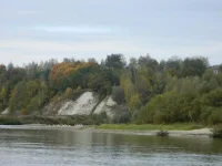 DSCN0985[1].webp