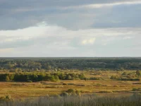 DSCN0975[1].webp