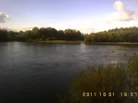 IMG10035.webp