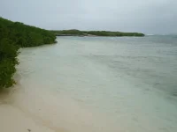каталинита 002.webp