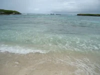 каталинита 005.webp