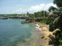 P1020126.webp