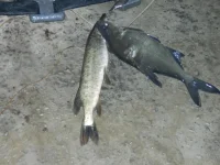 DSCN1030.webp