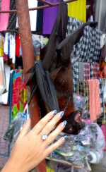 12102009052.webp