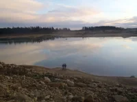 PA152782.webp