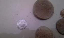 IMAG0766.webp