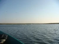 DSC03576.webp