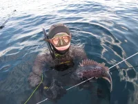 spear18.webp