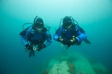 octopus7.webp