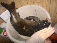 231020111320.webp
