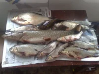 301020111720.webp