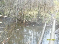 SL371858.webp