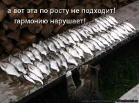 5a425f57b6d2.webp