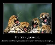 3.webp