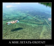 4.webp