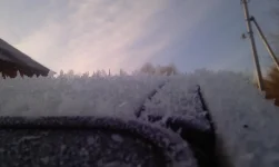 IMAG0793.webp