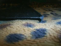 S3010056.webp