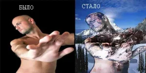 2 вида.webp